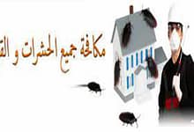 افضل شركة مكافحة حشرات بالرياض