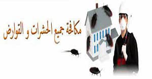 افضل شركة مكافحة حشرات بالمجمعة