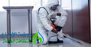 افضل شركة مكافحة حشرات بعفيف