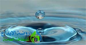 ارخص شركة تنظيف بعفيف