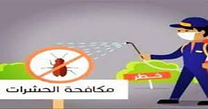 افضل شركة مكافحة حشرات بالغاط