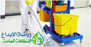 ارخص شركة تنظيف بالمذنب