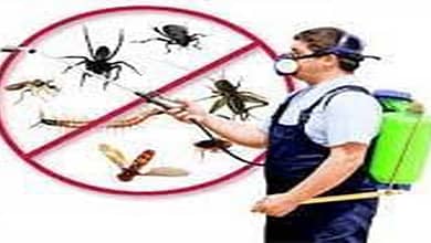 ارخص شركة مكافحة حشرات بالمزاحمية