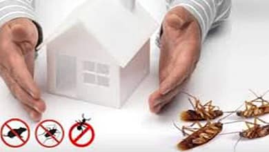 افضل شركة مكافحة حشرات برماح