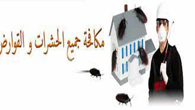 افضل شركة مكافحة حشرات بالافلاج