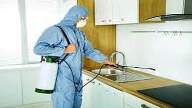 افضل شركة مكافحة حشرات بالدرعية