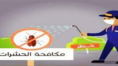 افضل شركة مكافحة حشرات بالغاط