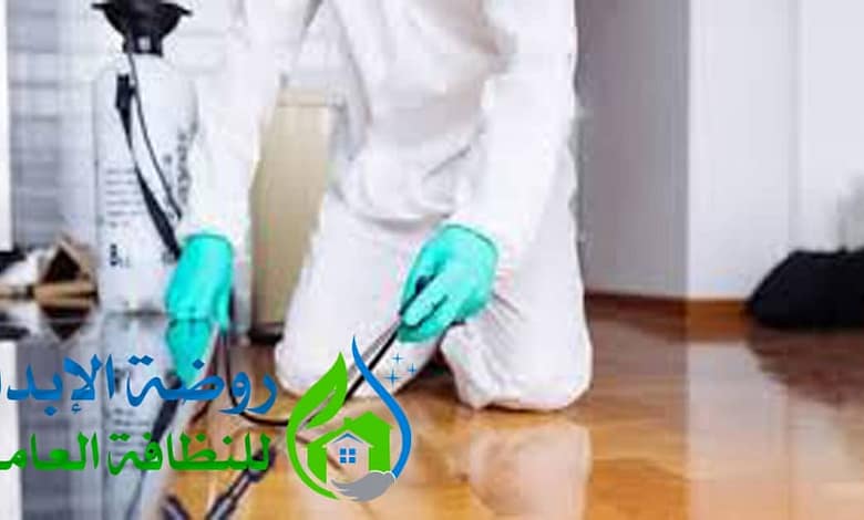 ارخص شركة مكافحة حشرات بعفيف