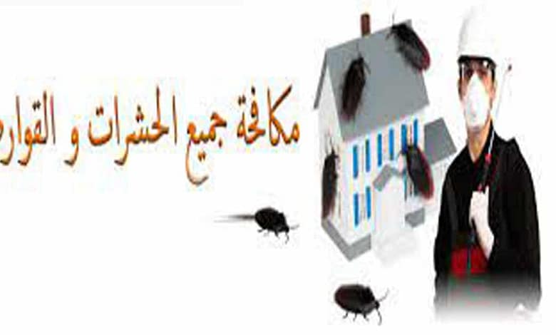 افضل شركة مكافحة حشرات بالرياض