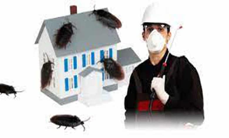 افضل شركة مكافحة حشرات بضرماء